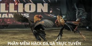 Phần Mềm Hack Đá Gà Trực Tuyến