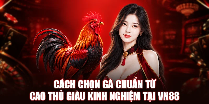 Cách Chọn Gà Chuẩn Từ Cao Thủ Giàu Kinh Nghiệm Tại VN88