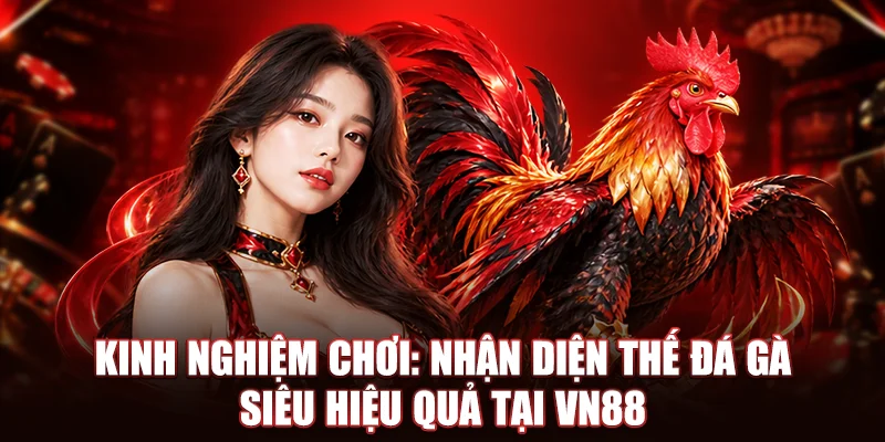 Kinh Nghiệm Chơi: Nhận Diện Thế Đá Gà Siêu Hiệu Quả Tại VN88