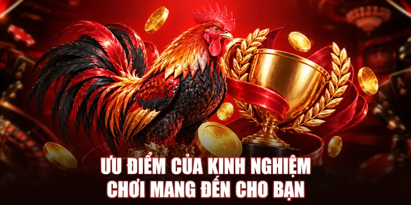 Ưu điểm của kinh nghiệm chơi mang đến cho bạn